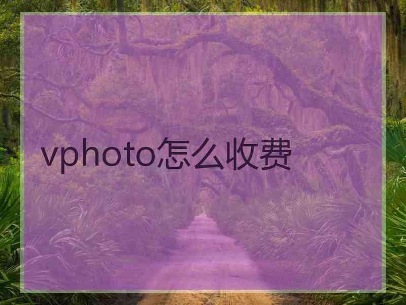 vphoto怎么收费
