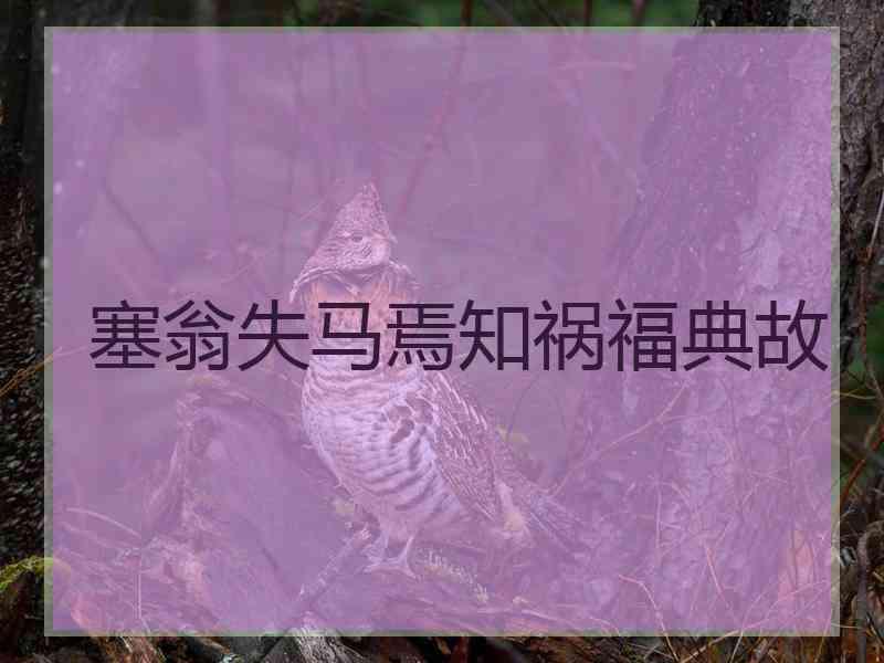 塞翁失马焉知祸福典故
