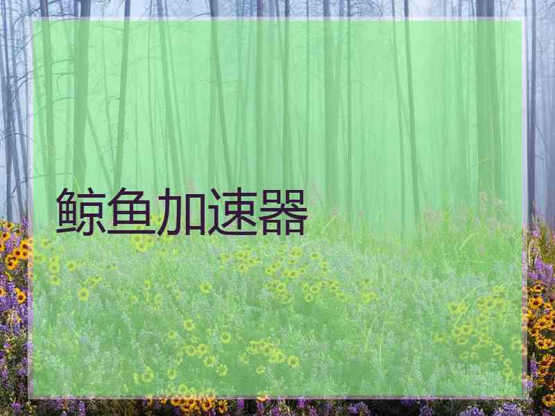 鲸鱼加速器