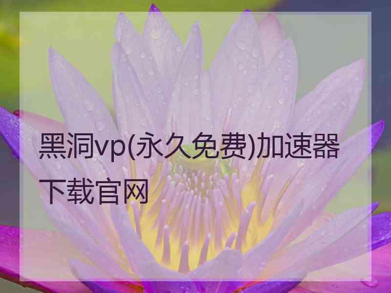 黑洞vp(永久免费)加速器下载官网