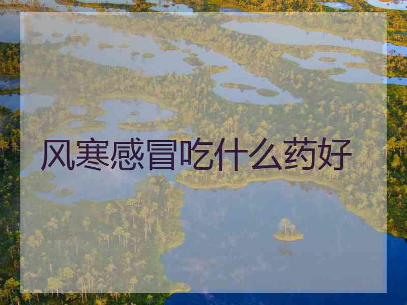 风寒感冒吃什么药好