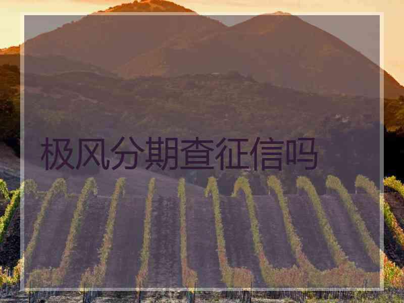 极风分期查征信吗