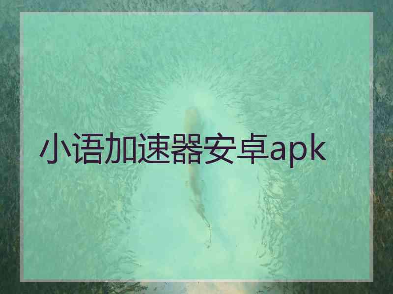 小语加速器安卓apk