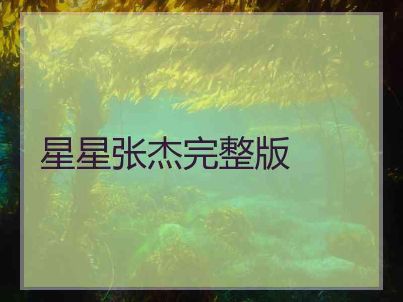 星星张杰完整版
