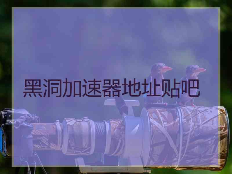 黑洞加速器地址贴吧