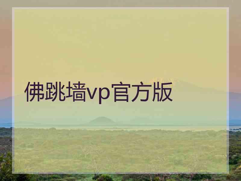 佛跳墙vp官方版
