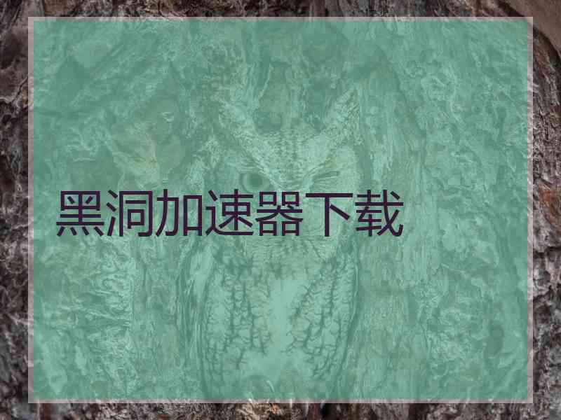 黑洞加速器下载