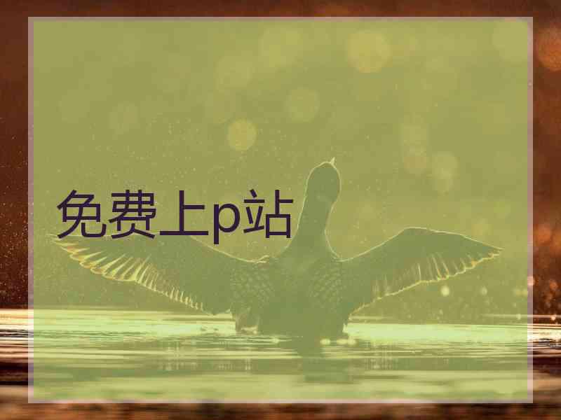 免费上p站