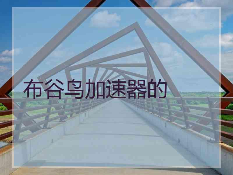 布谷鸟加速器的