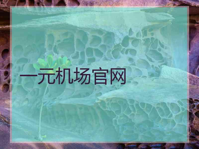 一元机场官网