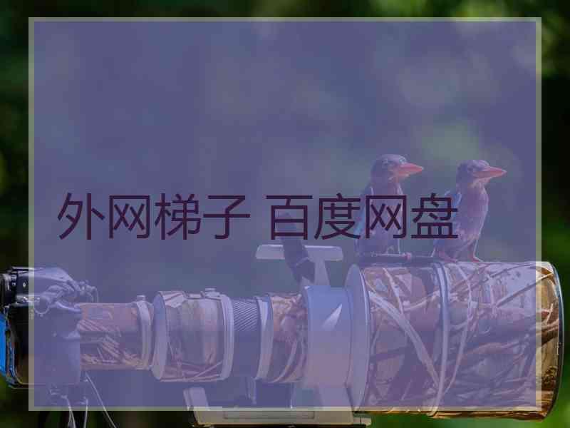 外网梯子 百度网盘