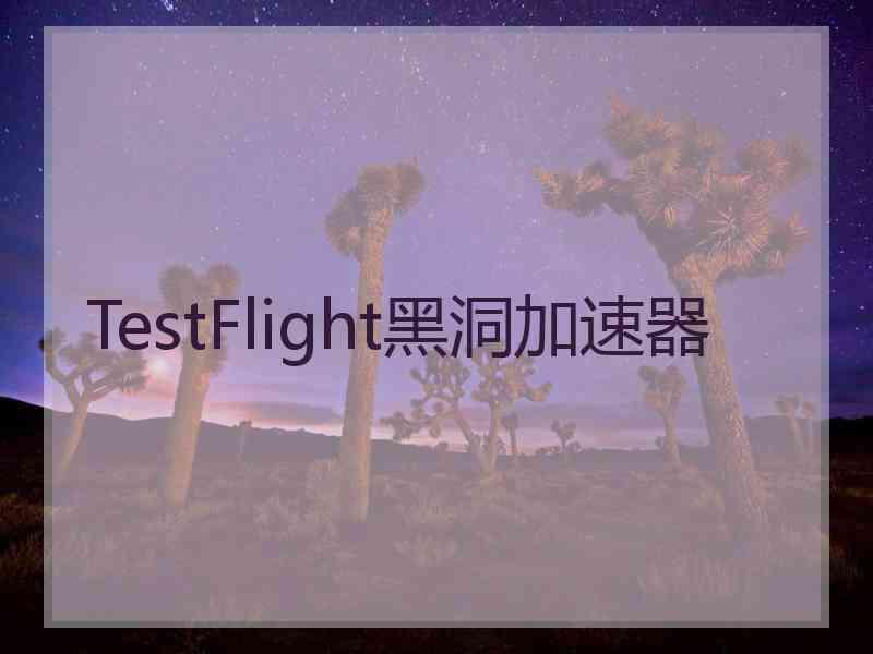 TestFlight黑洞加速器