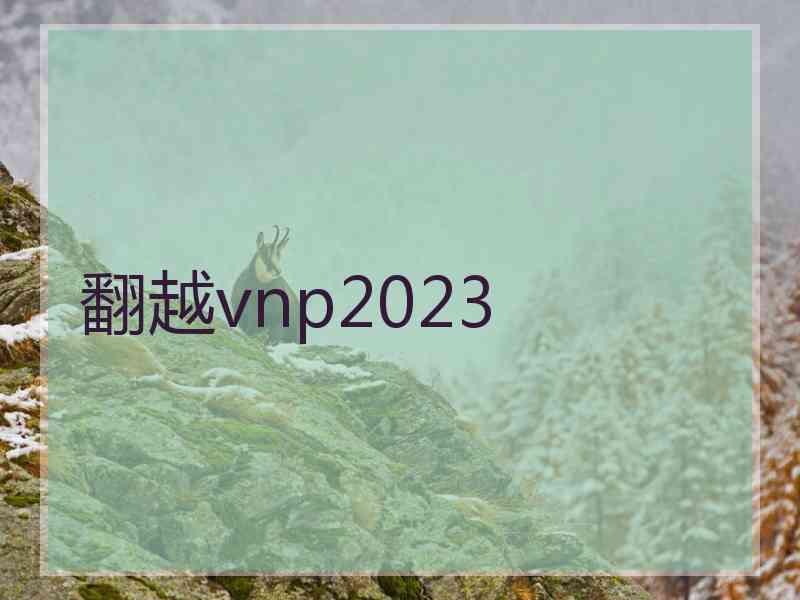 翻越vnp2023