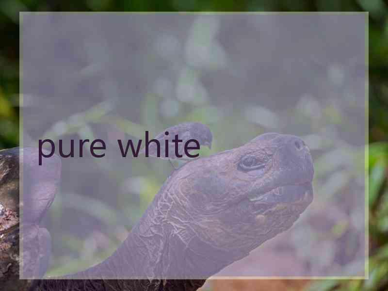 pure white
