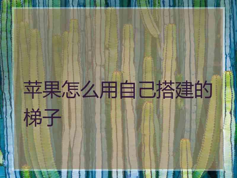 苹果怎么用自己搭建的梯子