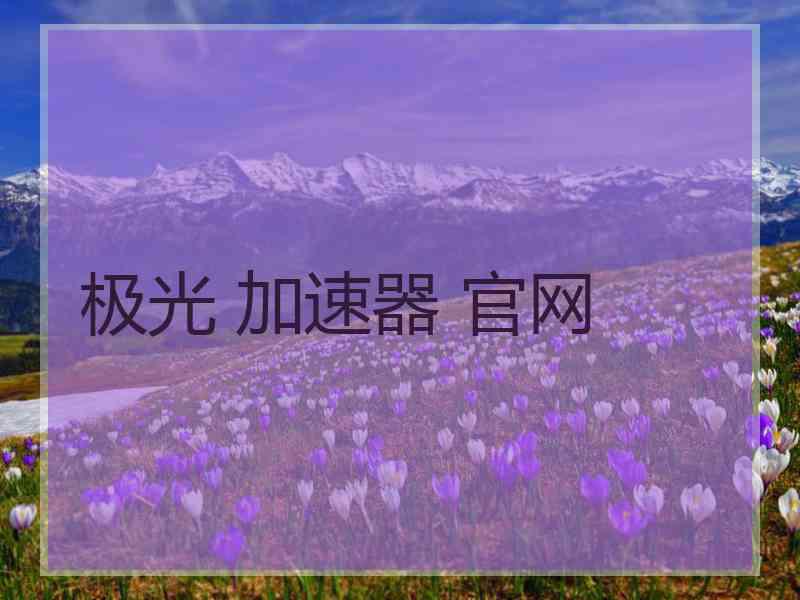 极光 加速器 官网