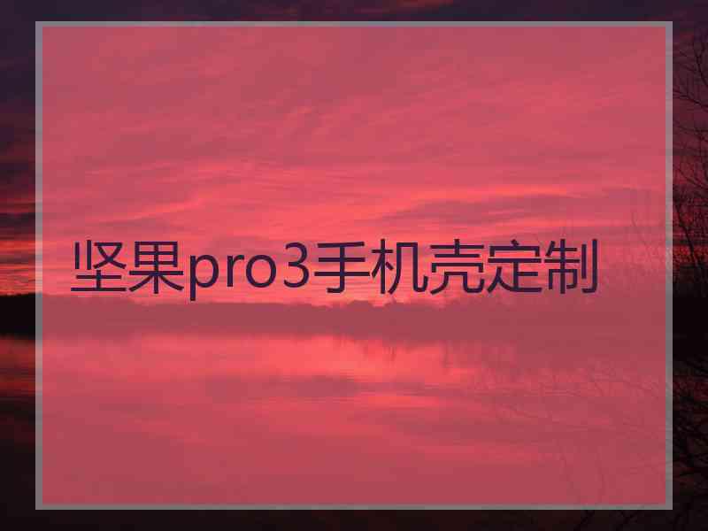 坚果pro3手机壳定制