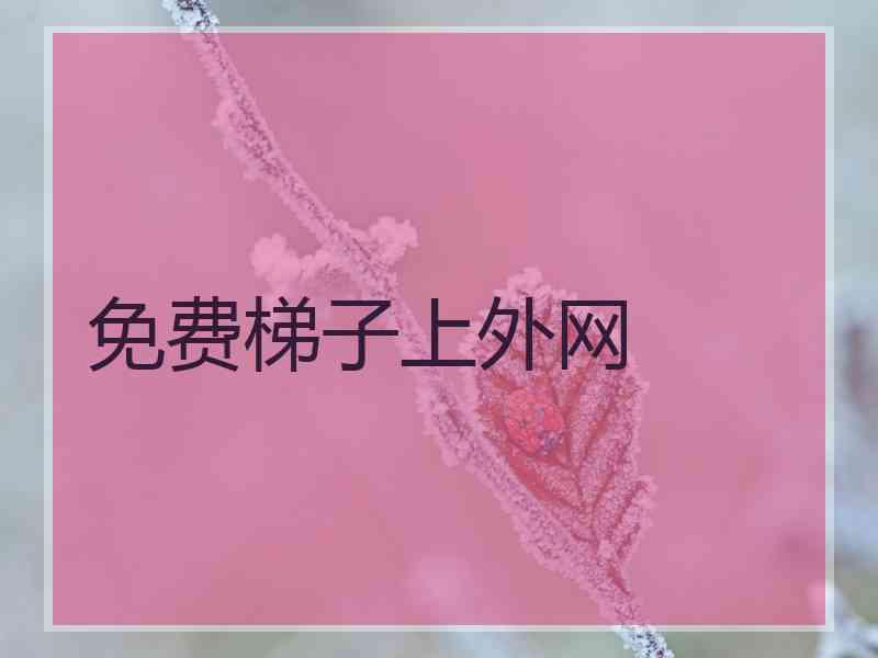 免费梯子上外网