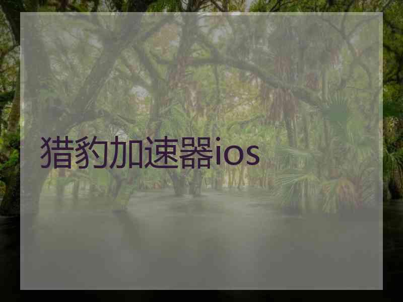 猎豹加速器ios