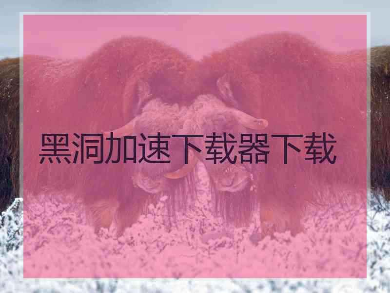 黑洞加速下载器下载