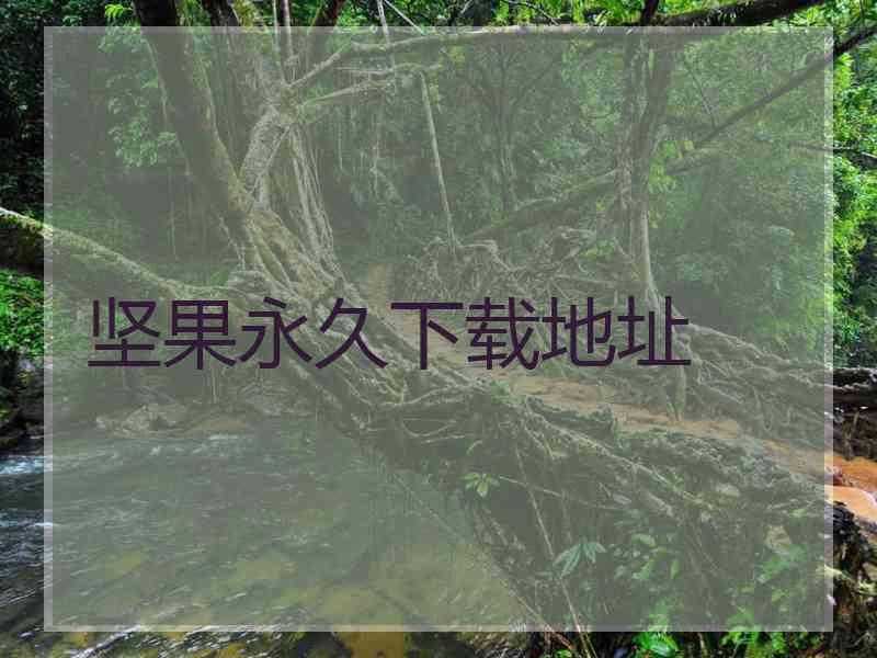 坚果永久下载地址