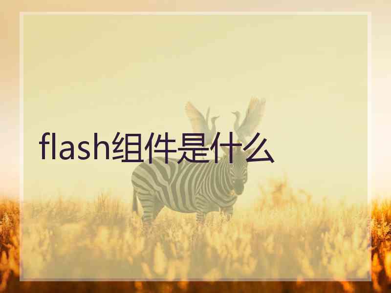 flash组件是什么