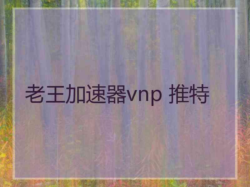 老王加速器vnp 推特