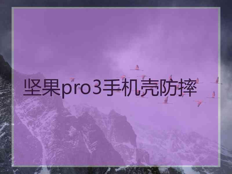 坚果pro3手机壳防摔