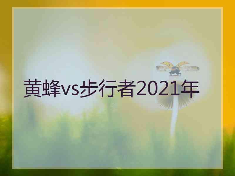 黄蜂vs步行者2021年