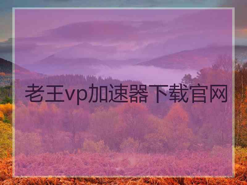 老王vp加速器下载官网