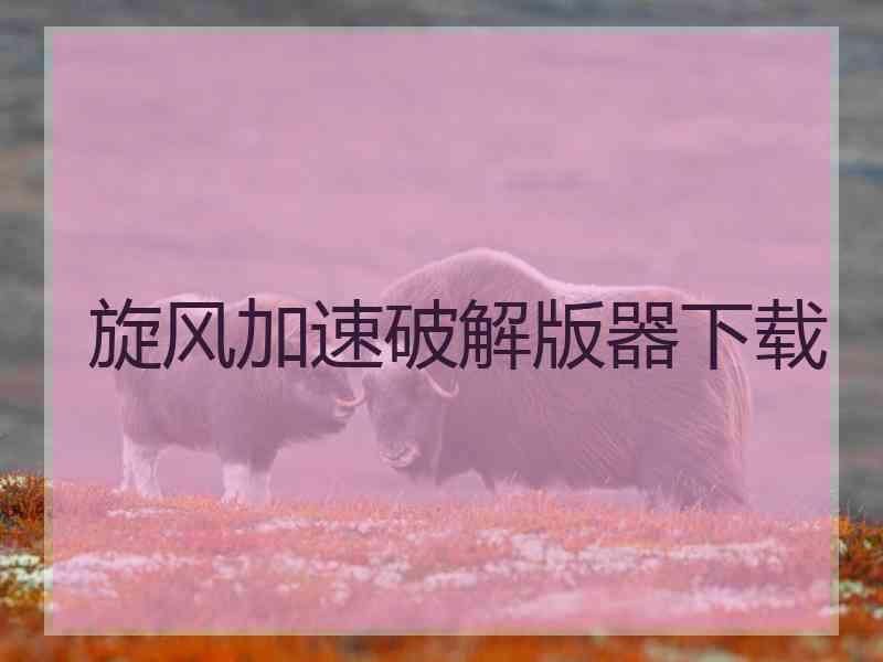 旋风加速破解版器下载