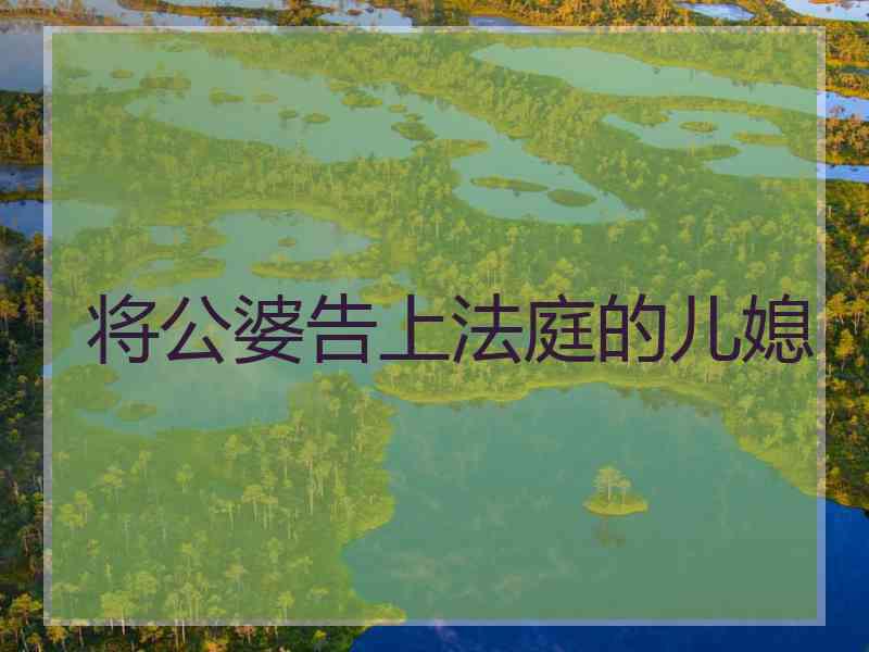 将公婆告上法庭的儿媳
