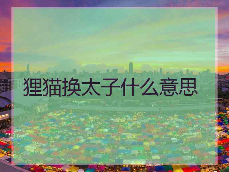 狸猫换太子什么意思