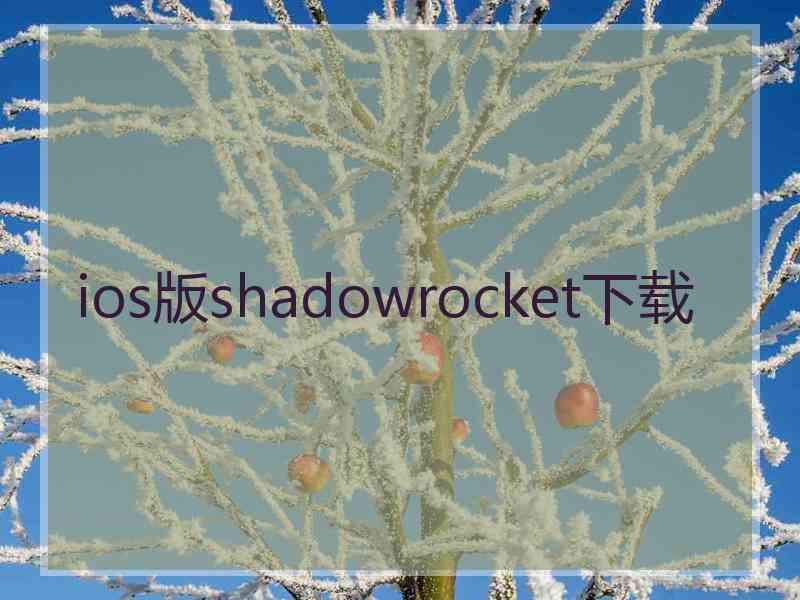 ios版shadowrocket下载