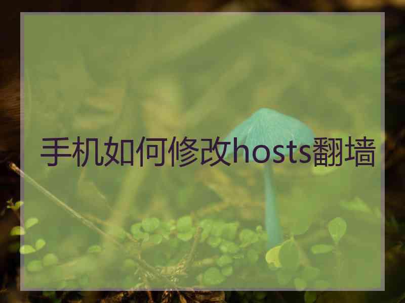 手机如何修改hosts翻墙