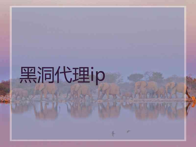 黑洞代理ip