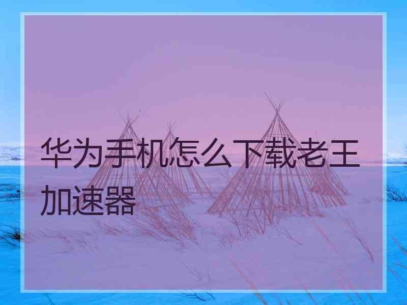 华为手机怎么下载老王加速器