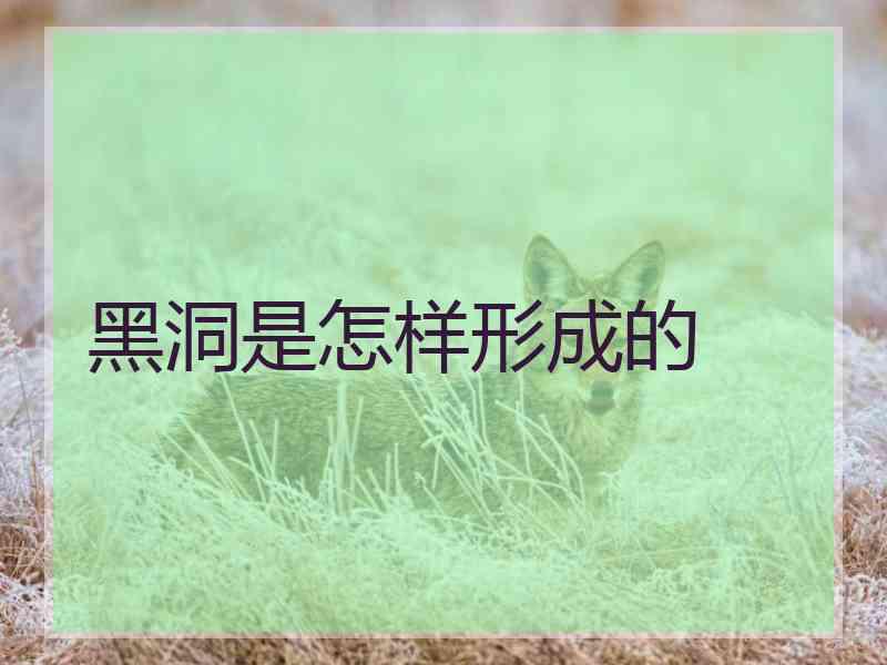 黑洞是怎样形成的