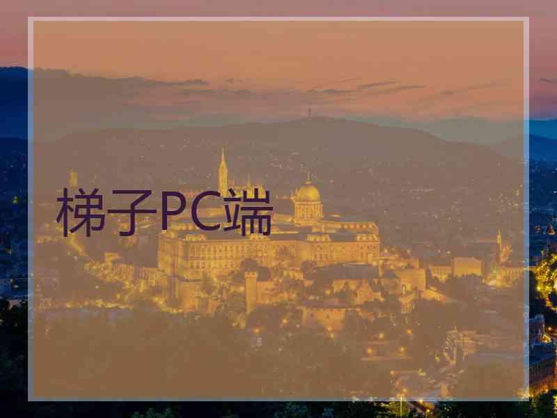 梯子PC端