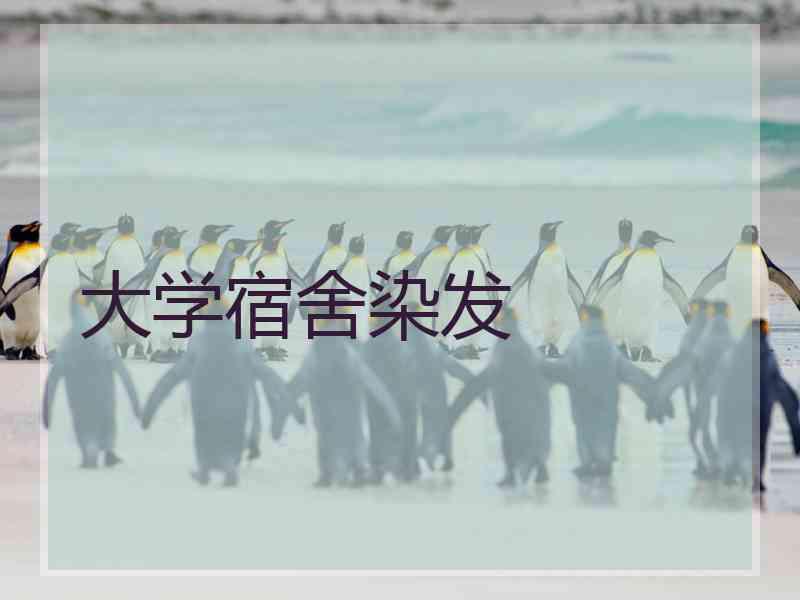 大学宿舍染发
