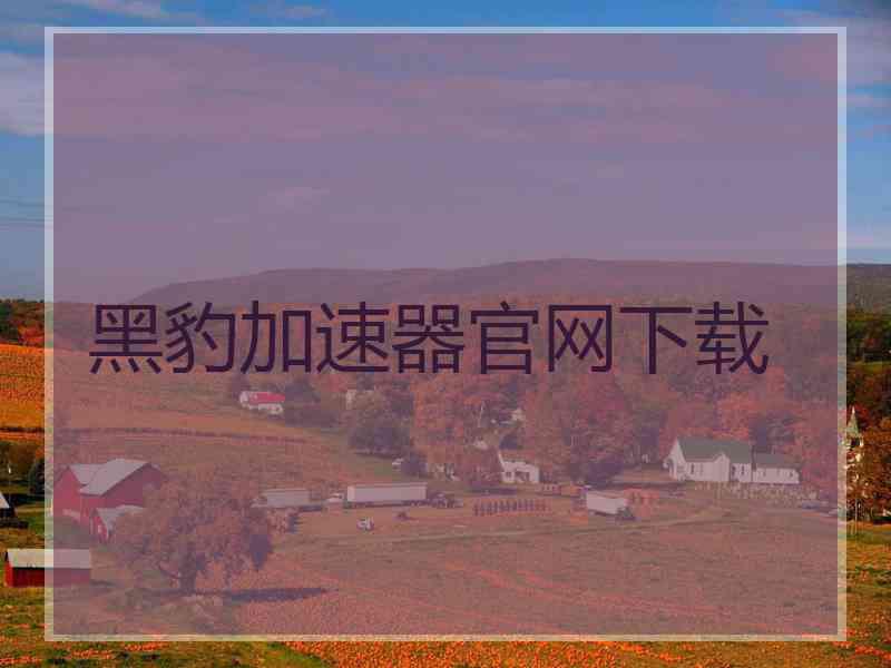 黑豹加速器官网下载