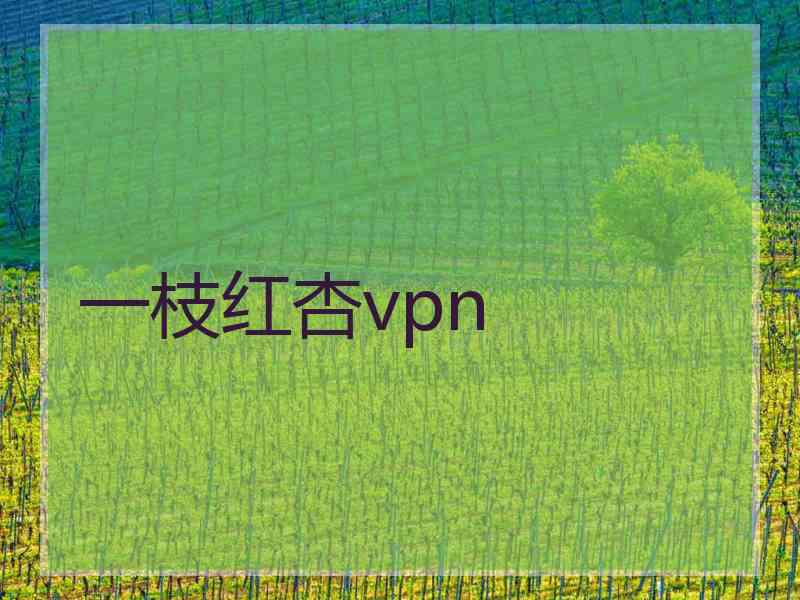 一枝红杏vpn