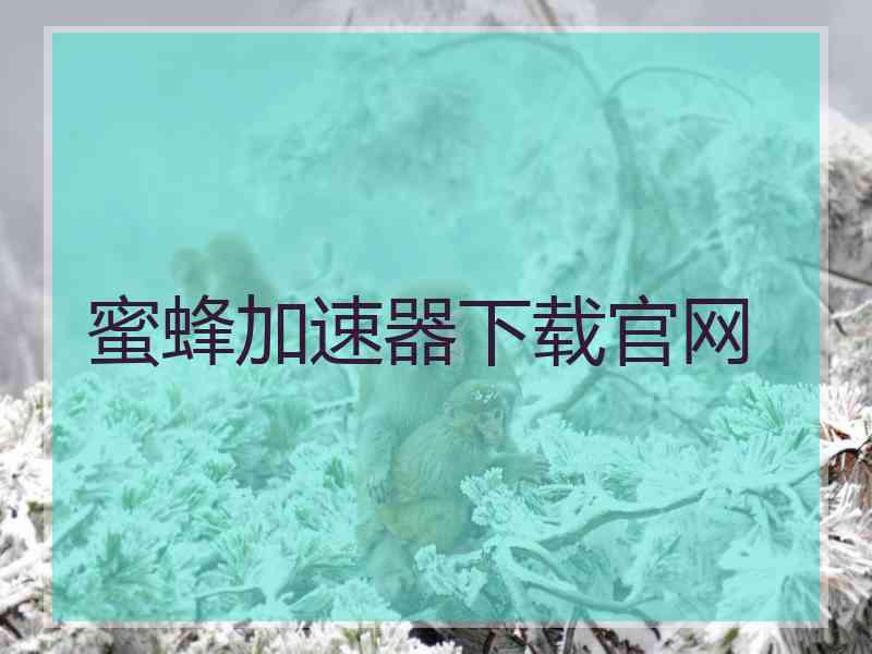蜜蜂加速器下载官网
