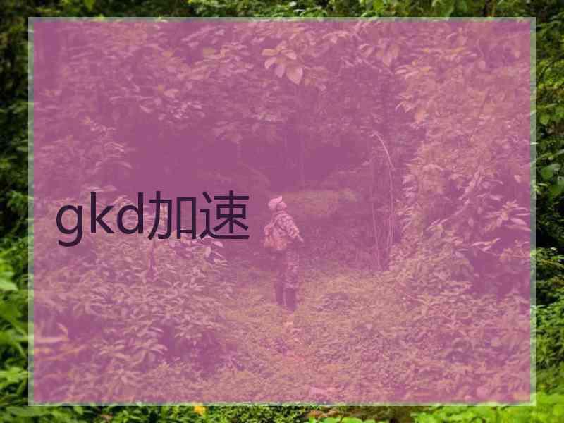 gkd加速