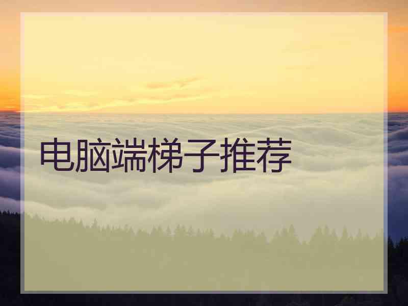 电脑端梯子推荐
