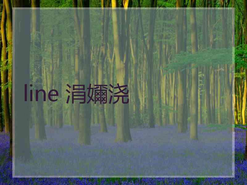 line 涓嬭浇