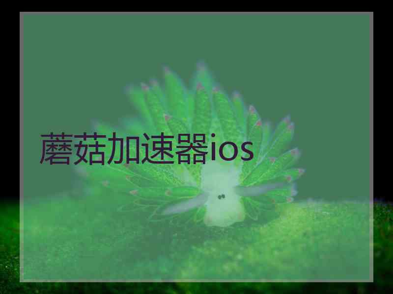蘑菇加速器ios