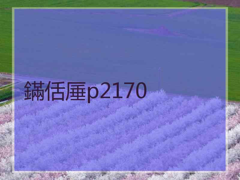 鏋佸厜p2170