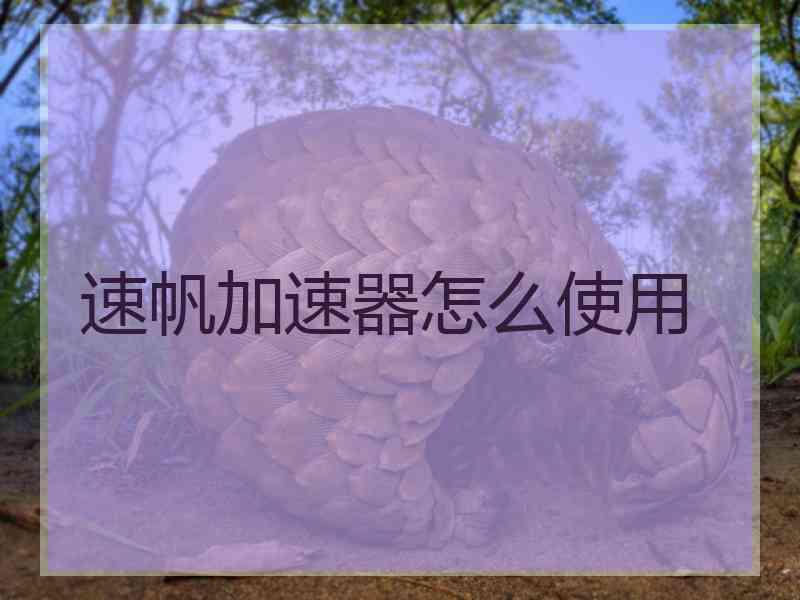 速帆加速器怎么使用