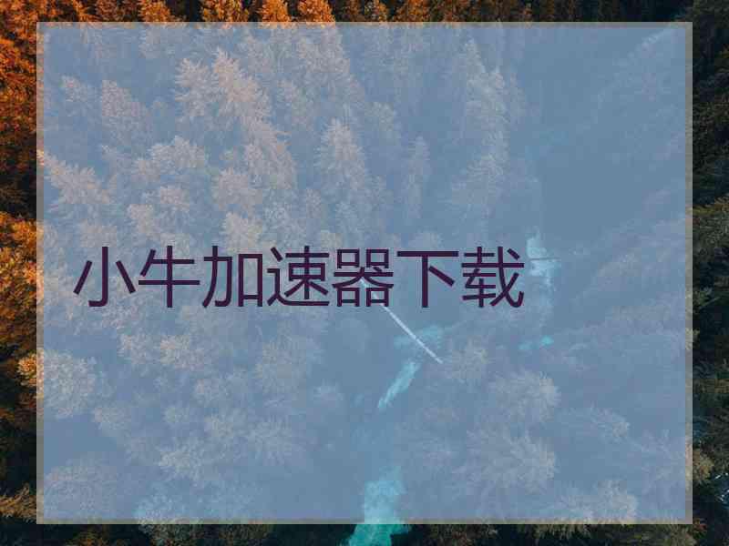 小牛加速器下载